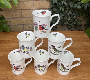 set of 6 birds mugs fine bone china shape castle