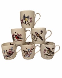 Fine Bone China Set of 6 Bird Mugs - Woodpecker, Wren, Bullfinch, Goldfinch, Magpie, Bluetit