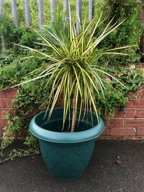 35.5cm Round Plastic Flower Pot Green - 14 inch Planter