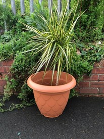 35.5cm Round Plastic Flower Pot Terracotta