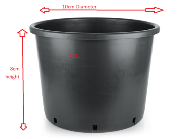 0.5L Black Plastic Pot (10cm Diameter x 8cm Height)