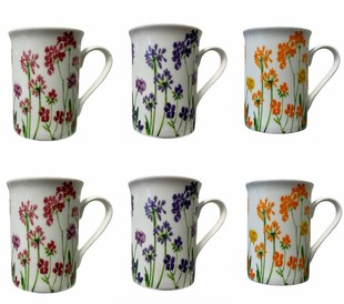 Set of 6 Fine Bone China Summer Cottage Flower Stem Mug Set