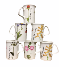 Set of 6 Fine Bone China Flower Garden Mugs