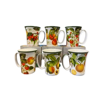 Set of 6 Fruit Garden Mugs lp92301