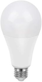 DIALL E27 22 Watt 2452lm GLS Warm White LED Light Bulb