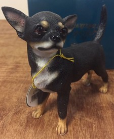 Tricolour Tan Black Chihuahua Statue BNIB Black Tan Chihuahua Dog Ornament