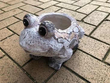 Polystone Frog Garden Ornament Planter by Country Living