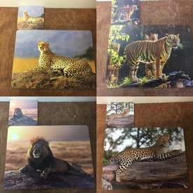 Animal Safari Placemat & Coaster Set - (1x Leopard Set, 1x Tiger Set, 1x Cheetah Set and 1x Lion Set) by Leonardo Collection